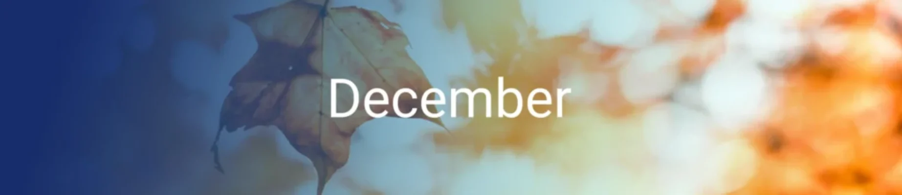 om-de-hoek-gekeken-december