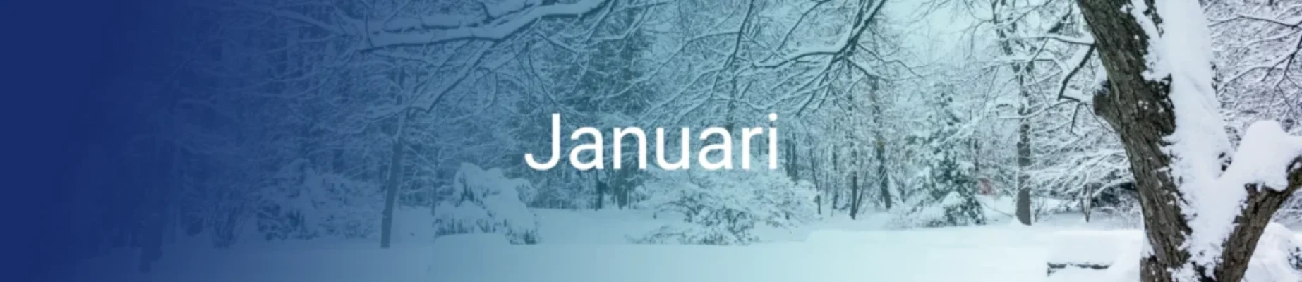 om-de-hoek-gekeken-januari