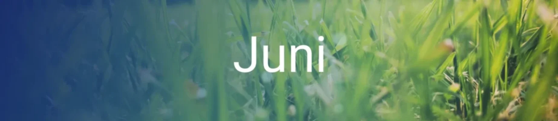 om-de-hoek-gekeken-juni