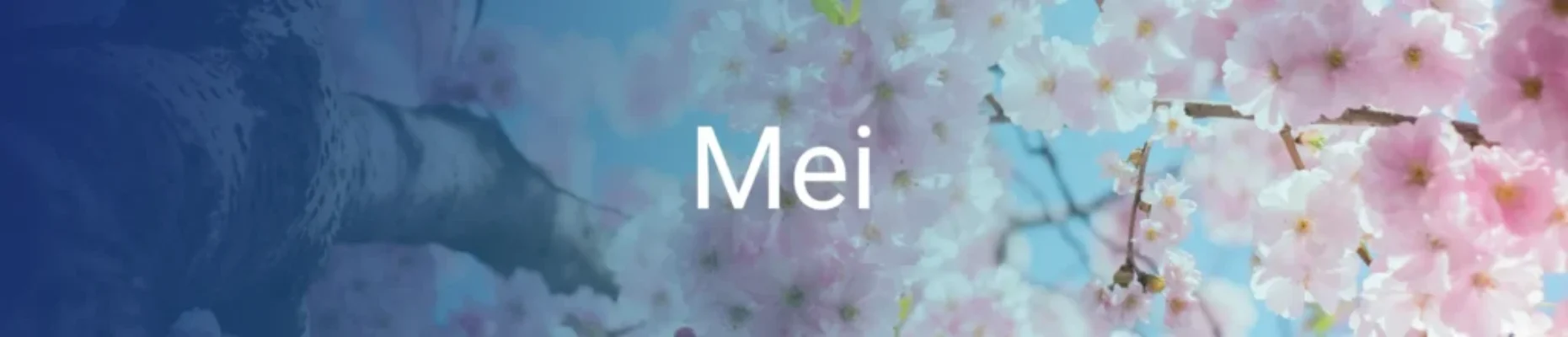 om-de-hoek-gekeken-mei