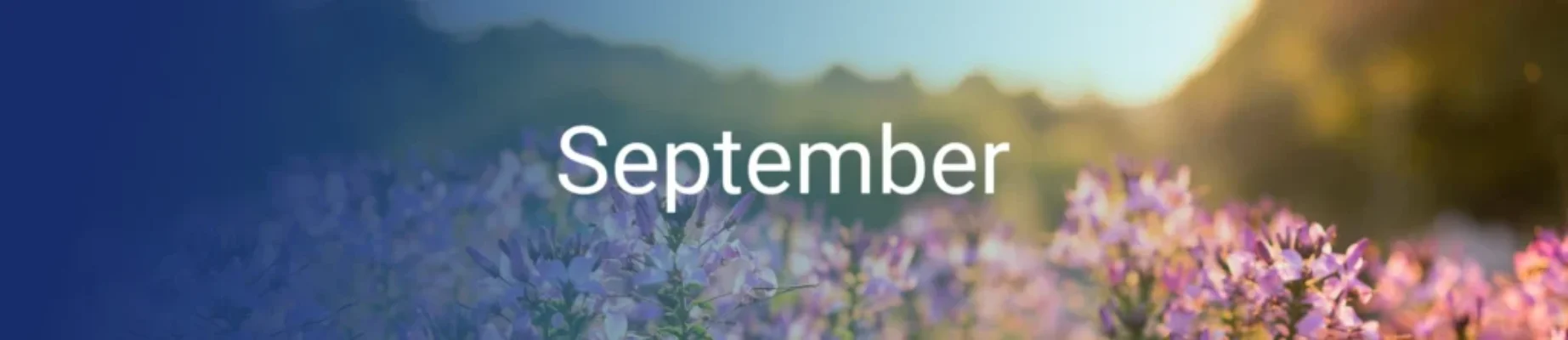 om-de-hoek-gekeken-september